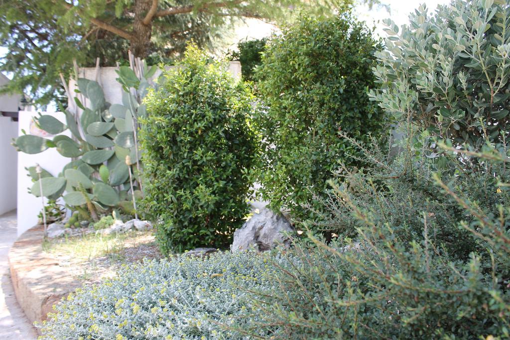 Albachiara Bed & Breakfast Monopoli Kültér fotó