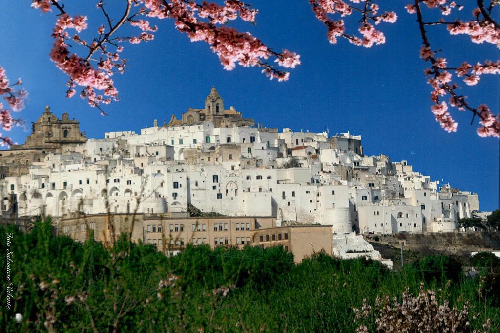 Albachiara Bed & Breakfast Monopoli Kültér fotó